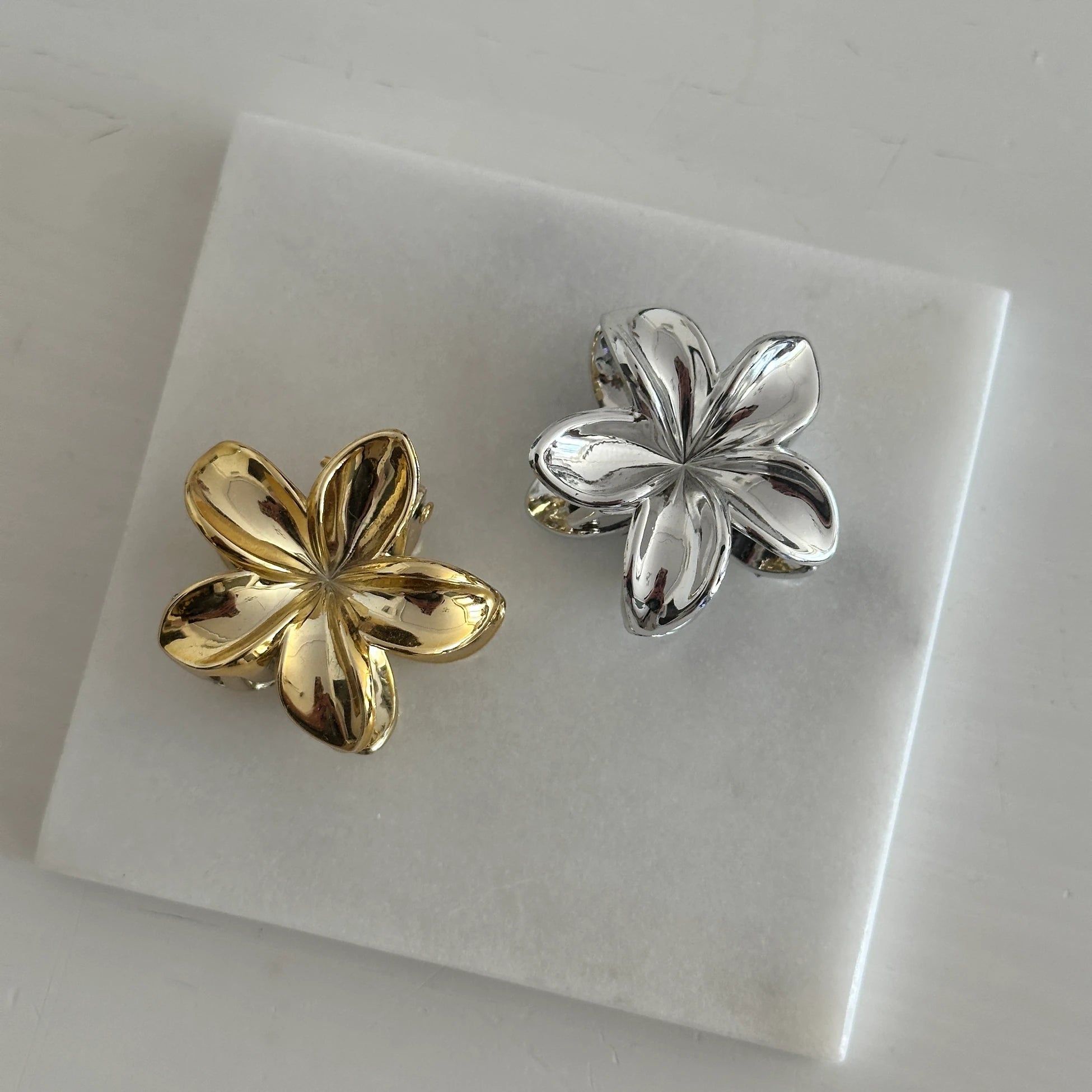 Mini Boy Gold&Gümüş Aloha Kadın Toka