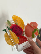 Dragon Fruit Kemik Toka