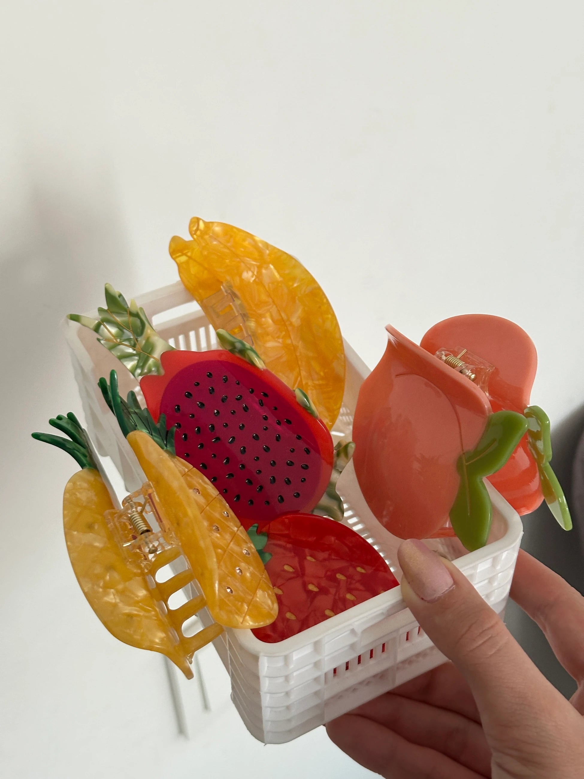 Dragon Fruit Kemik Toka