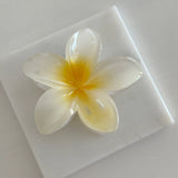 Aloha Kadın Toka (Sarı/Beyaz)