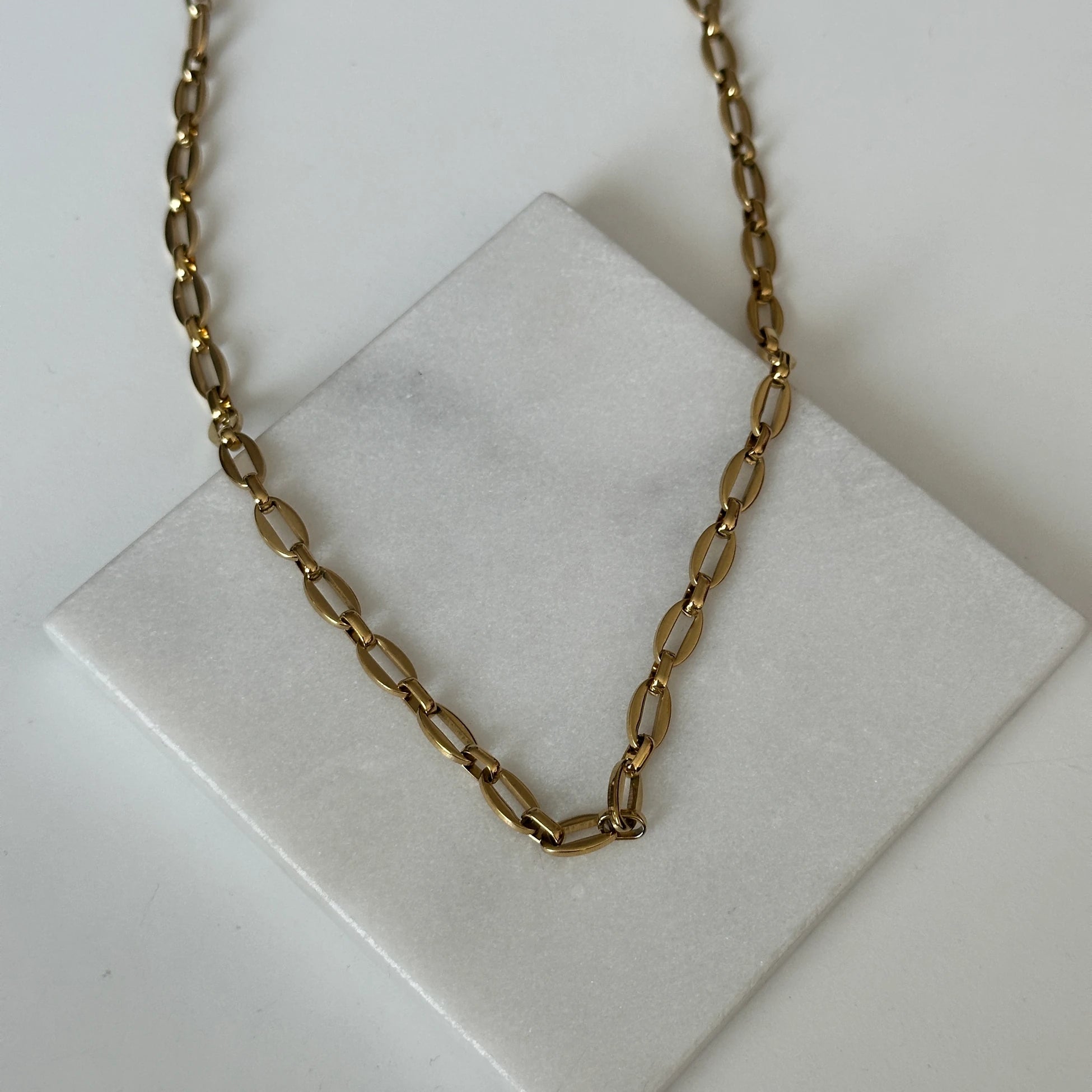 Badem Zincir Çelik Kadın Kolye