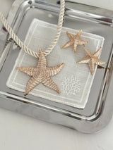 Deniz Yıldızı Kadın Küpe