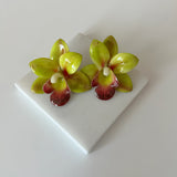Yeşil Orkide Küpe