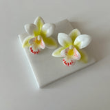Yeşilli Beyaz Orkide Küpe